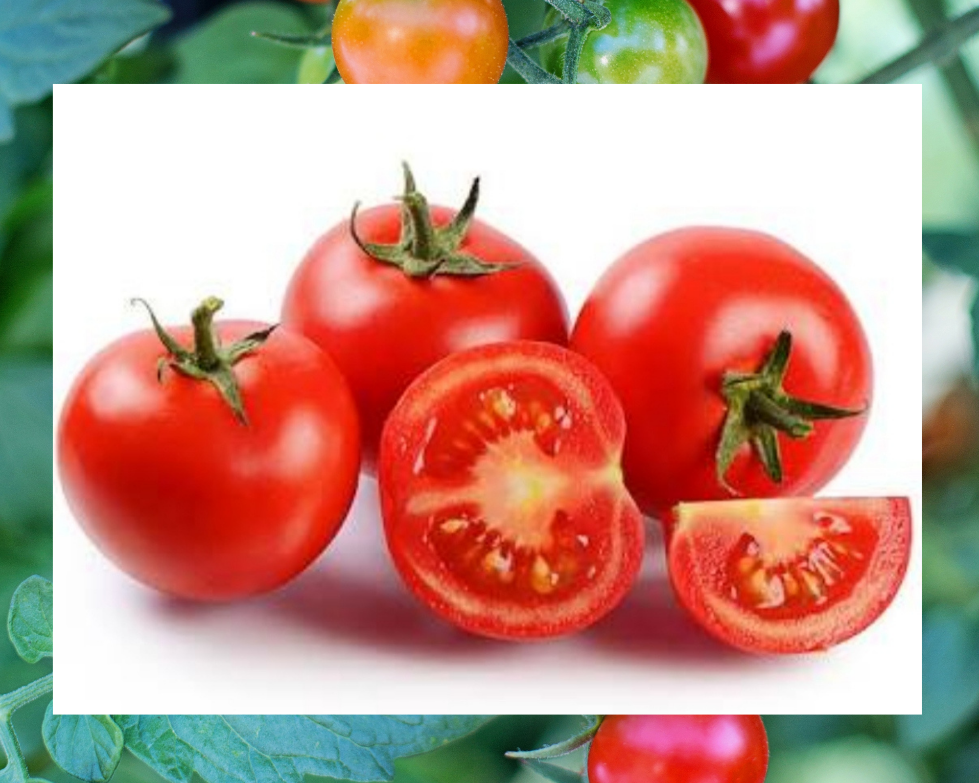 Health benefits of tomatoes.